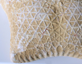 Beautiful large Pillow Starfish