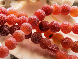 set/6 beads: Dragon Scale Agate - Round - 7,8 mm - Frost - Orange Cream & White