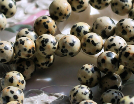set/6 beads: Dalmation Jasper - Round - 8,7 mm - Black Off-White Beige
