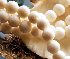 set/5 beads: Sponge-Coral - Round - 8,4 mm - Off White