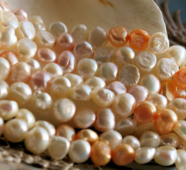 set/80 Beads/40cm: Strand Freshwater Pearls - 5,5-6 mm - White - Pink - Salmon Orange