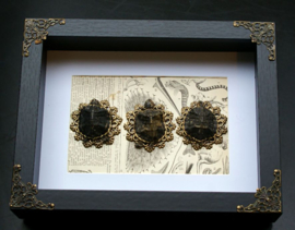 3 dry-preserved Turtles in a Museum Frame (+ glass) - 25x18 cm