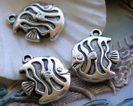 1 Charm: Tropical Fish - 25x22 mm - Antique Silver Tone Metal Look