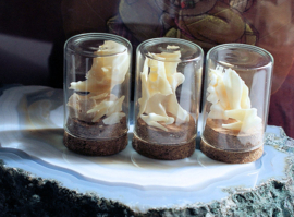 set/3 Domes/Containers with Fox teeth/jaw/bone/vertebrae