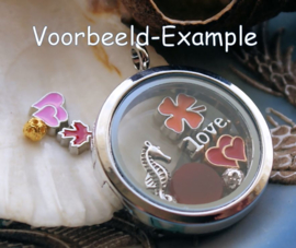 Memory Locket Inhoud (voor variant met glas) - 4-11 mm - Mix 10 Bloem Smile