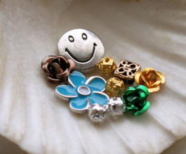 Memory Locket Inhoud (voor variant met glas) - 4-11 mm - Mix 10 Bloem Smile