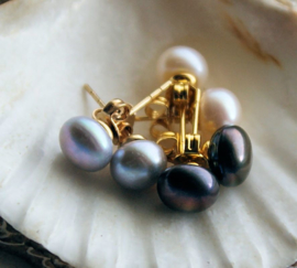 Pair of Earrings/Studs: Freshwater Pearls in White or Gray or Black