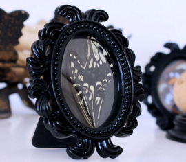 Black Baroque Frame with real Butterfly wings