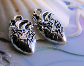1 Charm: Anatomical Heart - 25 mm - Antique Silver tone