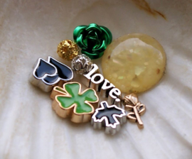 Memory Locket Inhoud (voor variant met glas) - 4-12 mm - Mix 9 Green Love