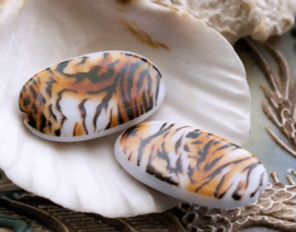 1 large Bead: Acrylic - Tiger  - 30x16 mm - White and Browns