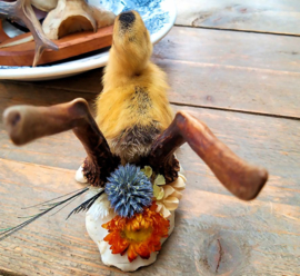 Yellow Duckling on Roe Buck Antlers (standing)