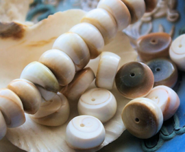 set/5 beads: Apple Shell  Heishi - 12 mm - Natural colours