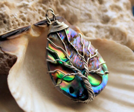 Lovely Tree of Life Pendant:  Paua Abalone Shell from New Zealand - 39 mm - various options