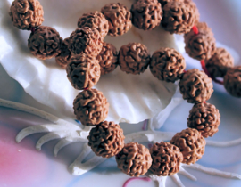 set/10 Kralen: Rudraksha - Tranen van Shiva - ca 8 mm (3 maten/tinten)