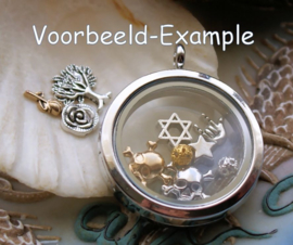 Memory Locket Inhoud (voor variant met glas) - 4-11 mm - Mix 10 Bloem Smile