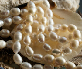 set/44 Beads 35 cm: Strand Freshwater Pearls - 7-8 mm - White