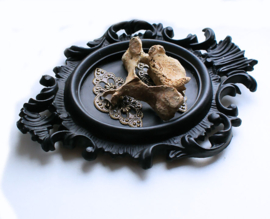 Human Vertebra in black Baroque frame - 16x12 cm