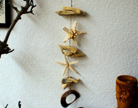 Wall Ornament: Shell, Starfish & Driftwood