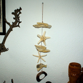 Wall Ornament: Shell, Starfish & Driftwood