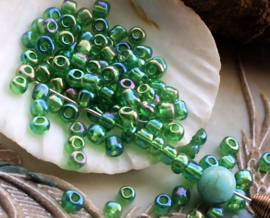 Seed Beads