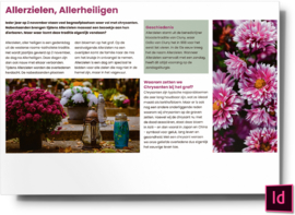 allerzielen allerheiligen