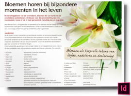 Bloemen horen bij bijzondere momenten in het leven