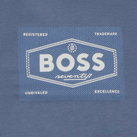 IJsblauw sweater Hugo Boss