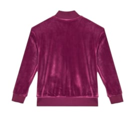 Velour pak  GUESS aubergine