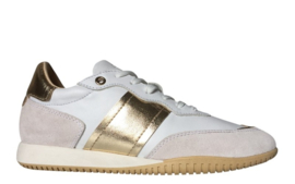 Wit goud leren sneaker