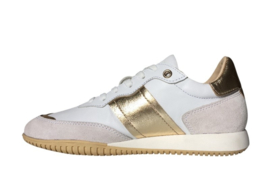 Wit goud leren sneaker