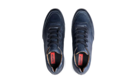 Blauw runner Lloyd