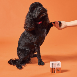 DogsLife - Paw & Nose Balm
