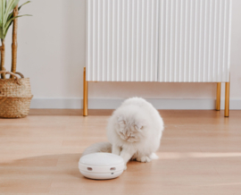 Interactieve speelautomaat voor de kat ! Oplaadbaar!