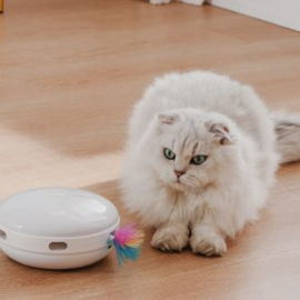 Interactieve speelautomaat voor de kat ! Oplaadbaar!