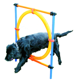 Agility Ring