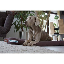 Doctor Bark hondenkussen, bruin
