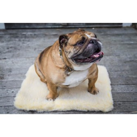 HuggleHounds® Fleece Mat extra dik 7,5 cm grijs