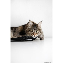 MyKotty TOBI - kattenmeubel - Zwart