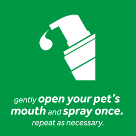 TropiClean - Fresh Breath - Oral Care Foam - 133ml