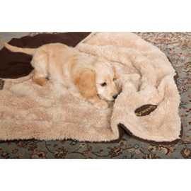 Scruffs Snuggle Blanket in diverse kleuren