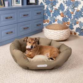 Doctor Bark Hondenmand Rond Goudbruin
