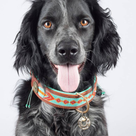DWAM Paddy Lee Halsband