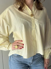 Bloes gestreept geel