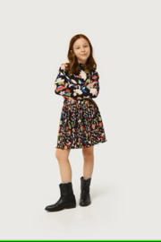 43402 - Rok - Compania Fantastica