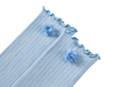 SAVI-SG-81-A light blue