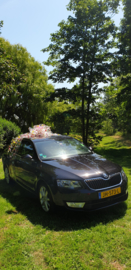 Autocadeaustrik in  FOLIE met bloemen