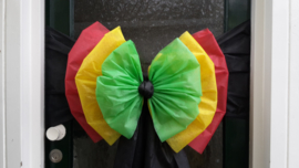 Drie kleurenstrik Reggae