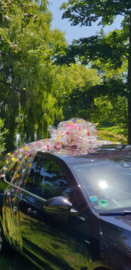 Autocadeaustrik in  'FOLIE met BLOEMEN'