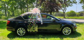 Autocadeaustrik in  'FOLIE met BLOEMEN'
